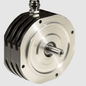 AC servo motor XtraforsBR series