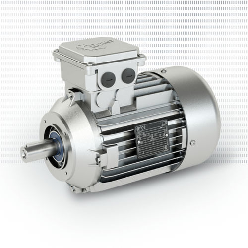 Asynchronous motor STANDARD