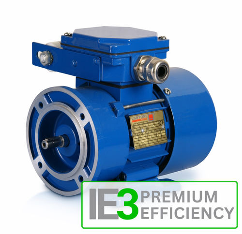 Single-phase motor 3SSIE