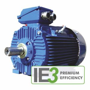 Three-phase motor 3SIE(K/L) 63 – 500