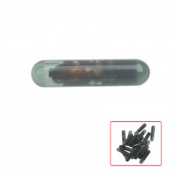 ID13 Glass Transponder Chip for GM 10pcs/lot